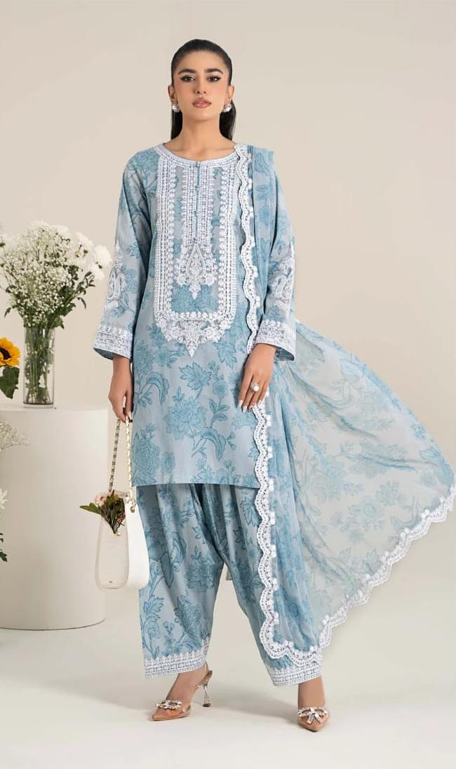 Maria b Woman wearing a light blue embroidered traditional outfit with a white background